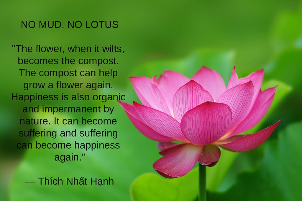 No mud no lotus