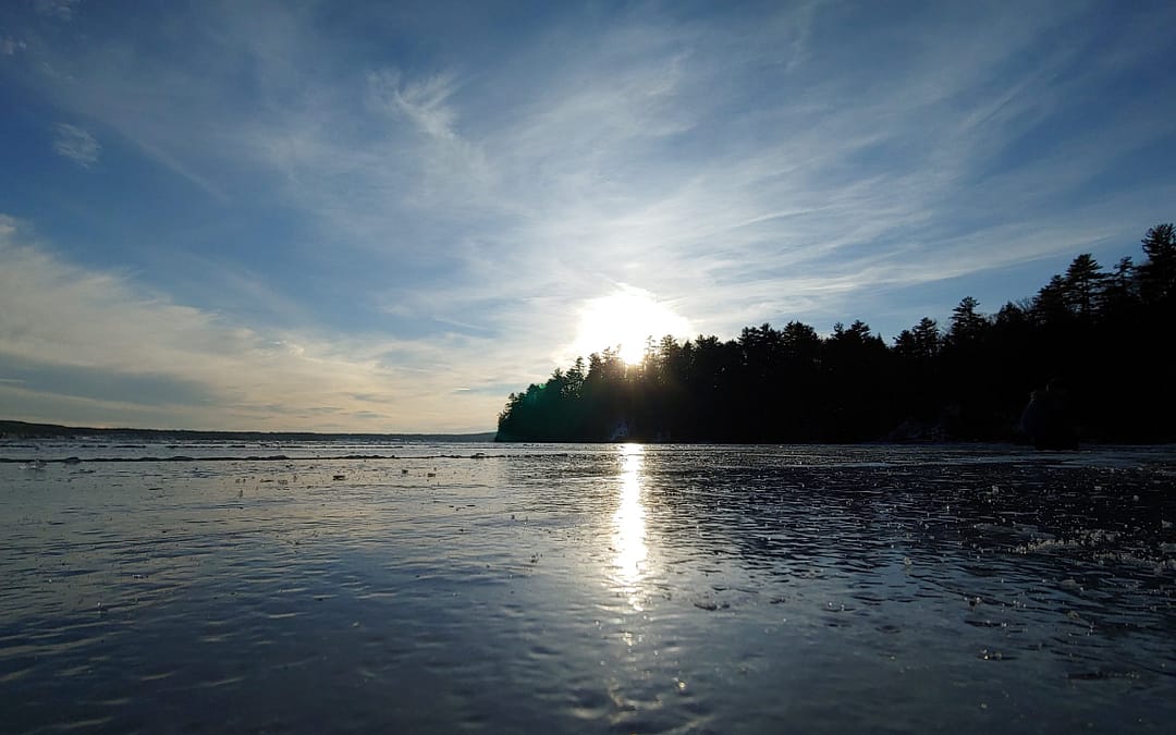 Natural Connections: Winter Solstice