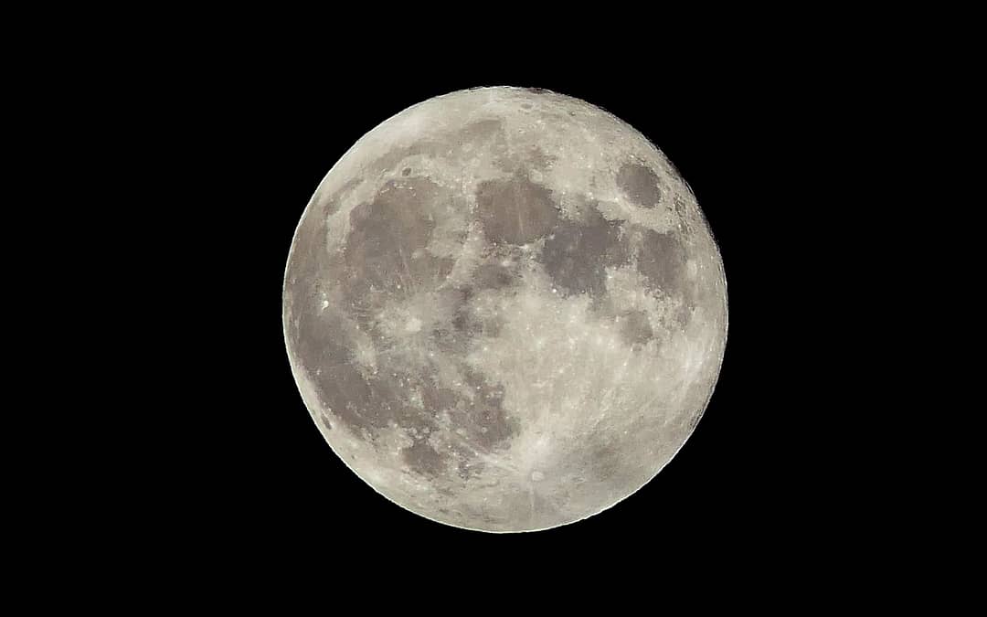 The Wolf Moon: Integrating the Wolf Archetype