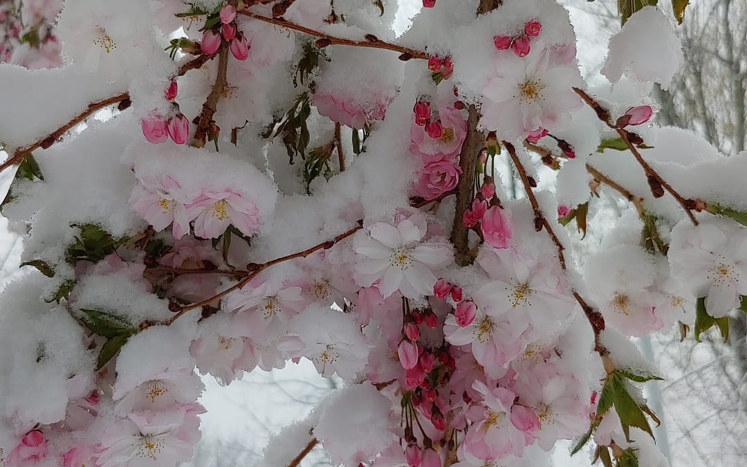 Shifting Perspectives: Blooming into Self-Love