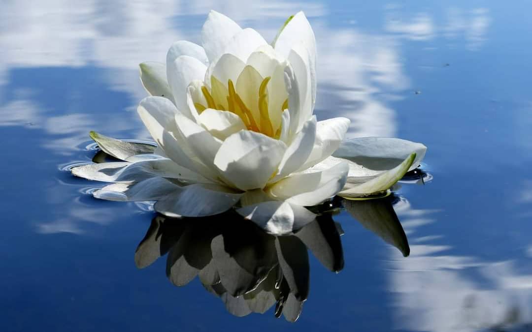 Rethinking Positive Thinking