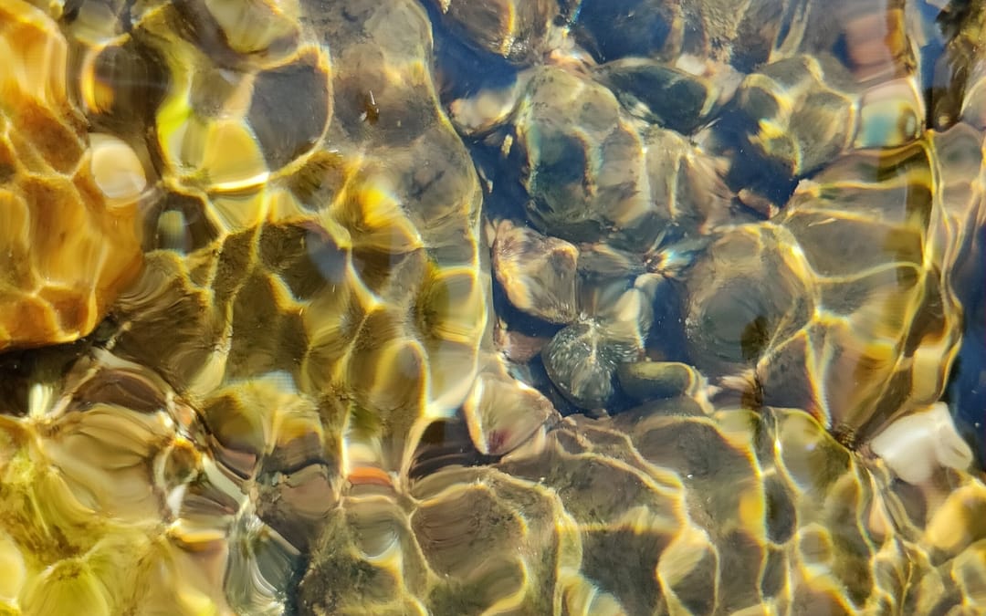 Relax & Release at the River Meditation 8/7/2022
