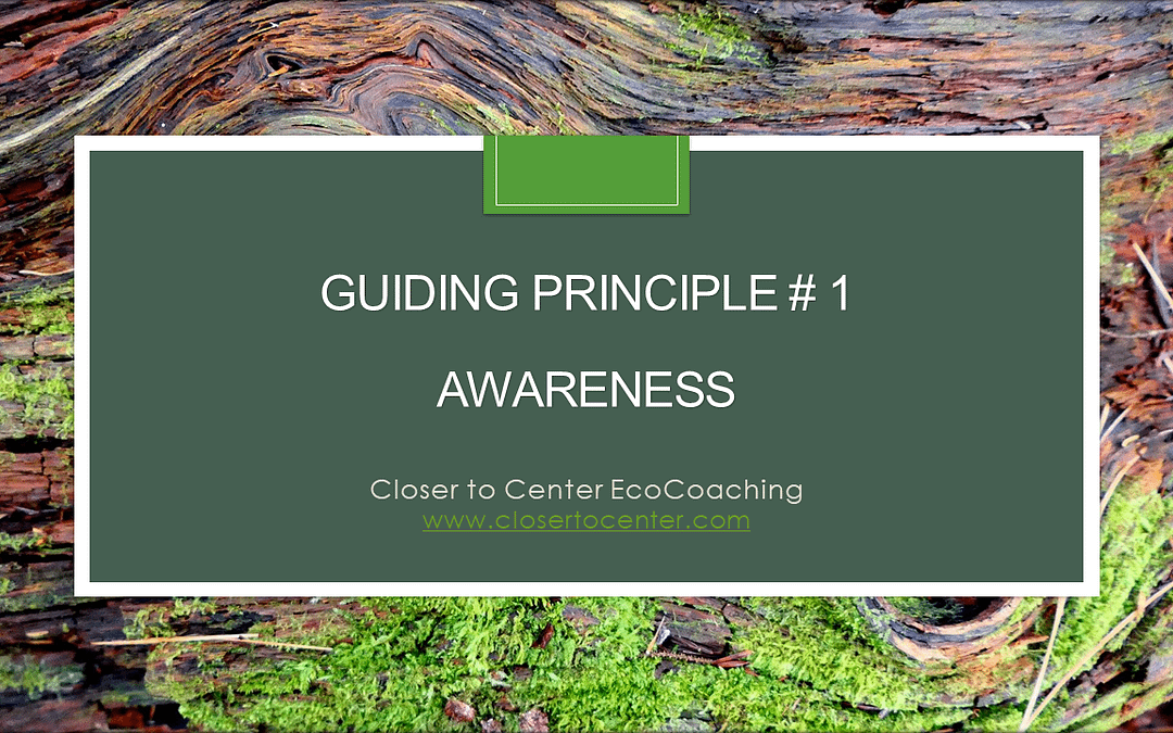 Guiding Principle #1: Awareness