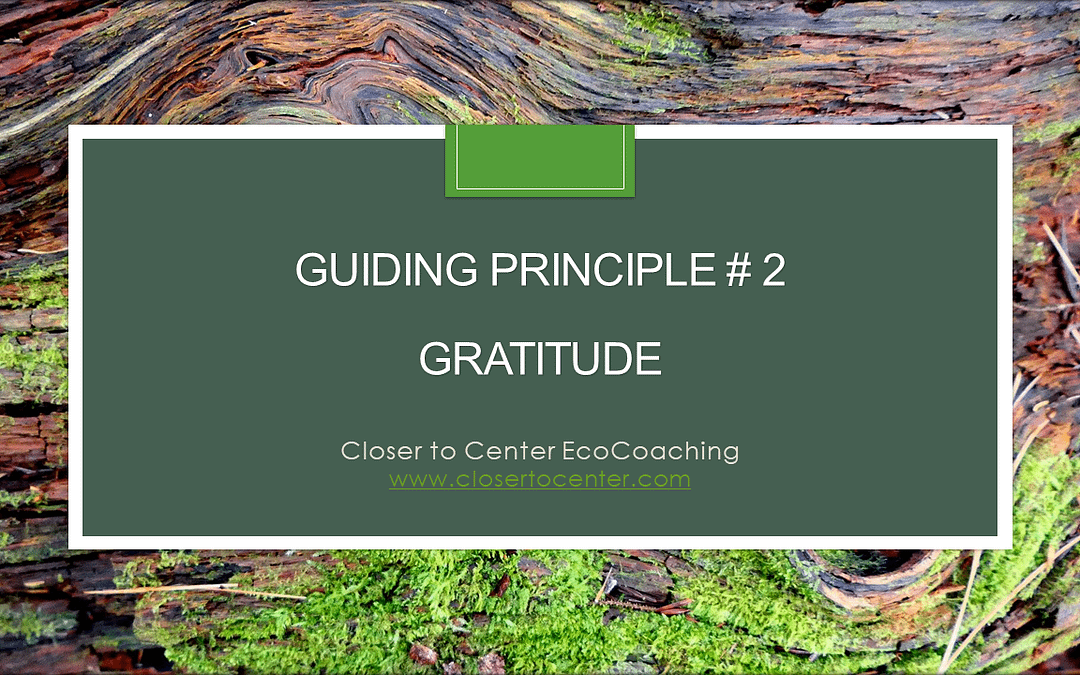 Guiding Principle #2: Gratitude