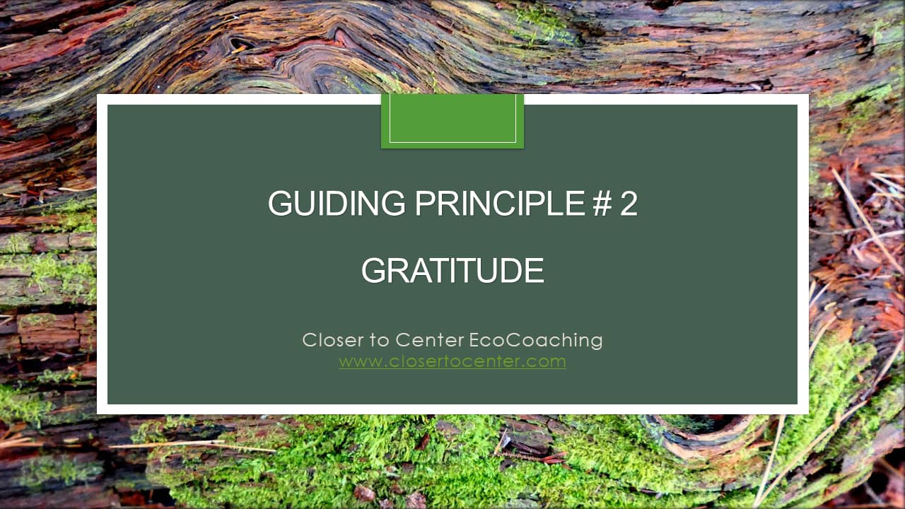 gratitude