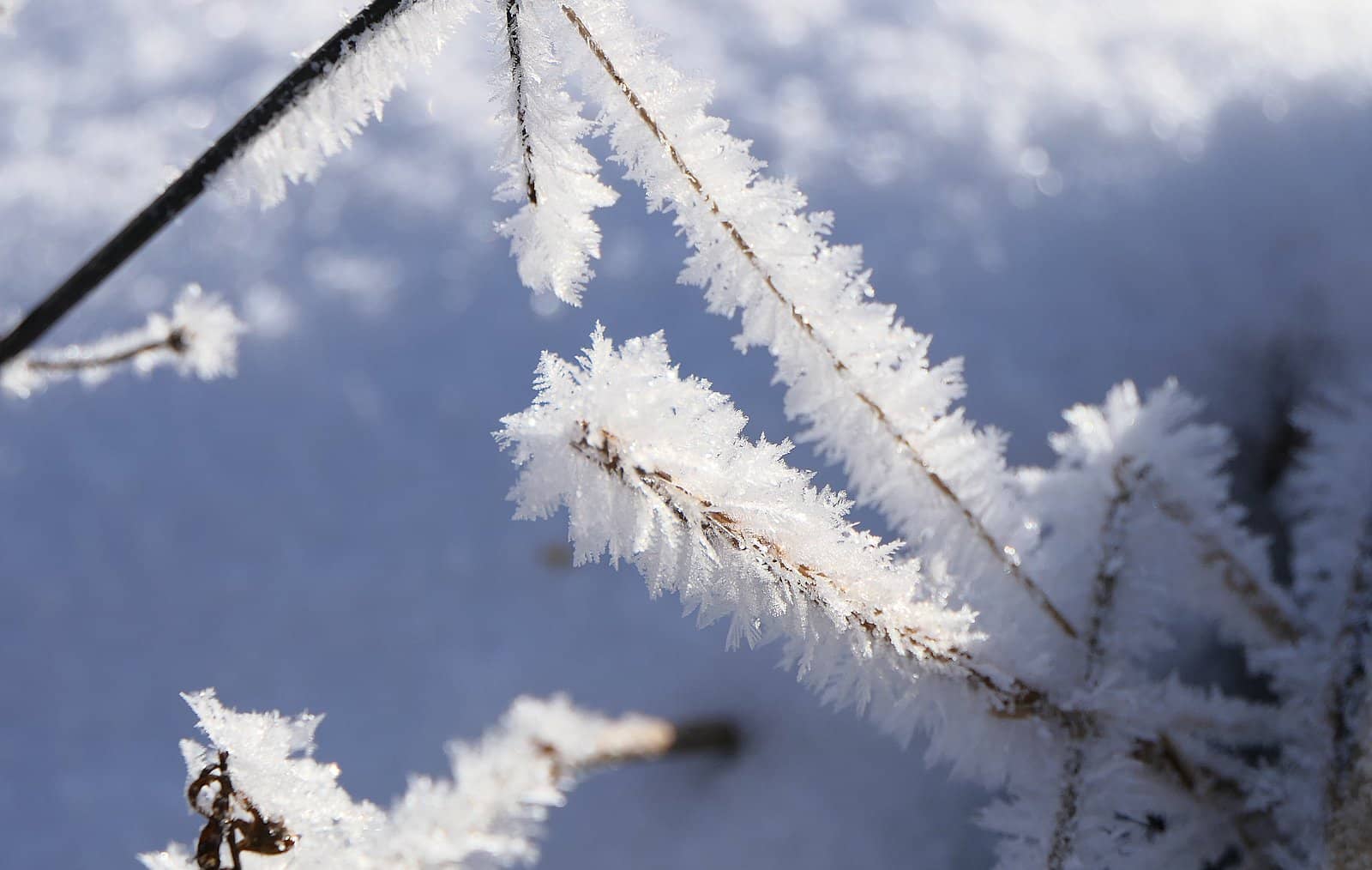 icecrystals